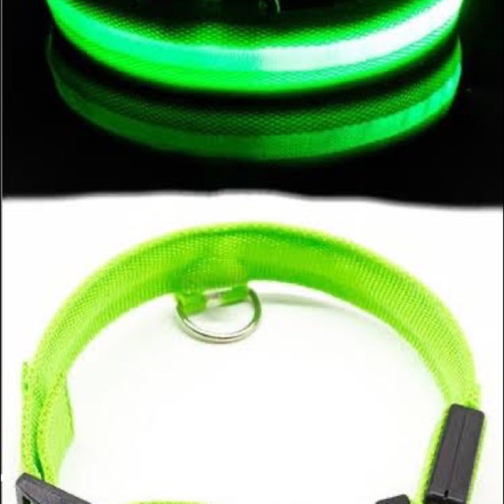 🆕LED Dog Colar
